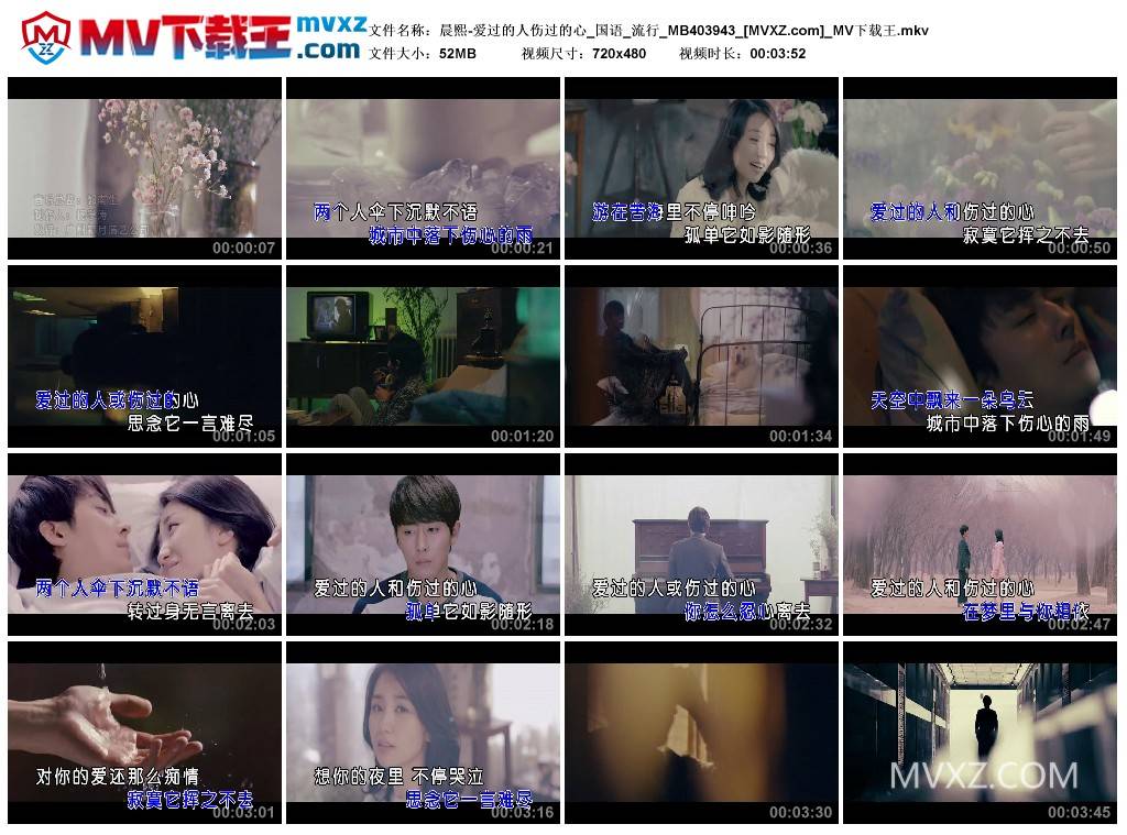 晨熙-爱过的人伤过的心_国语_流行_MB403943